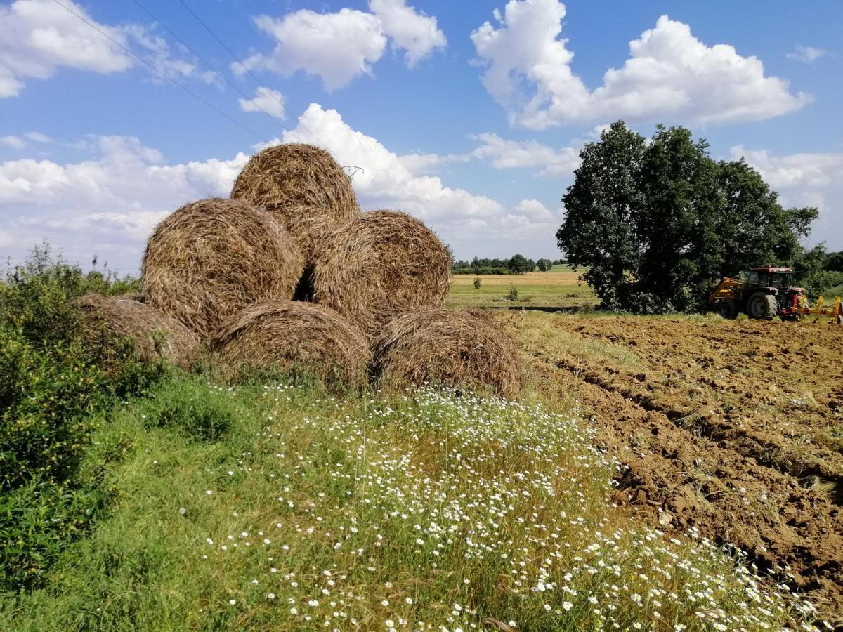 Hotel Rural Lajafriz Fornillos de Aliste Dış mekan fotoğraf